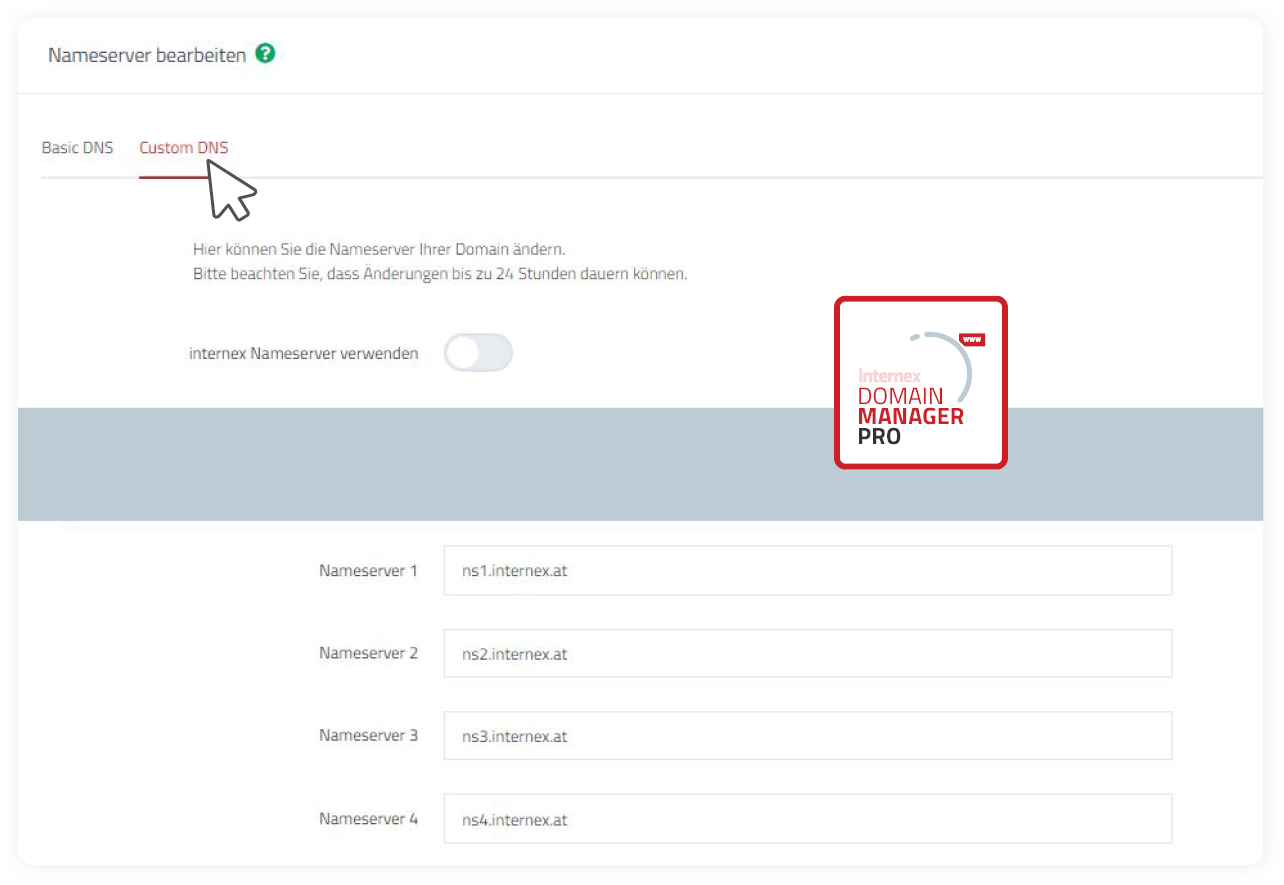 Domain Manager Nameserver Feature