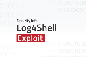 Log4 Shell Exploit