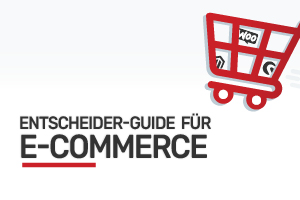 E-Commerce Guide für Entscheider